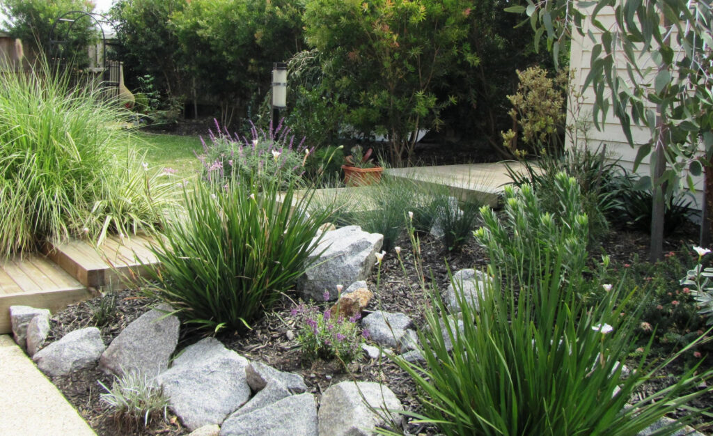 Landscape Background Image